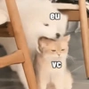 eu VC