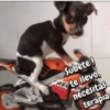 Variados 06 15