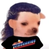 MEMES XD 11