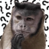 MACAQUINHOS DIVERTIDOS 🐵 11