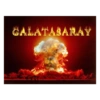 Galatasaray 15