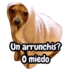 Un arrunchis? O miedo