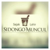 Logo plesetan 12