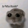Cricetino Sad Hamster 12