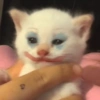 🐾Mix gatitos tristes😿🐾 23