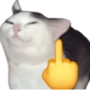 STICKERS GATOS SIN CONTEXTO😻 14