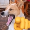 🤪 Reactions 10 😲 7