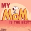 MY MOM IS THE BEST SCHULZ SCHULL CPNTS CPNT