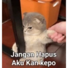 Jangan Hapus Aku Kan kepo