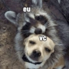 eu VC