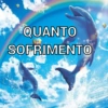 QUANTO SOFRIMENTO
