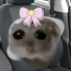 Cricetino Sad Hamster 17