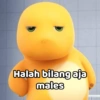 💛 DINO KUNING 💛 10