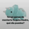 Tengo ganas de mentarte tu puta madre, qué día puedes?