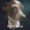 ???¿ había tarea