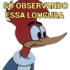 SÓ OBSERVANDO ESSA LOUCURA