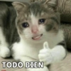 TODO BIEN