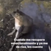 Animales Random 2🌸💥 12