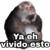 Ya eh vivido esto geysioy