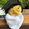 Upset Duck 16