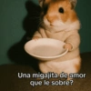 🥭💥 Variados PAL GRUPO 😎🌍 7