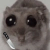 Rata triste Hámster Meme 🐹 20