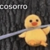 cosorro