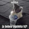 GATINHOS REAGINDO 17