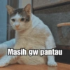 Bobby Kucing Prabowo 🐱 7