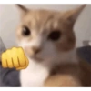 Memes randoms ❣️💯💥 11