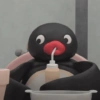 Pingüino penguin 😎 10