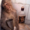 Reações macaquinhos 7