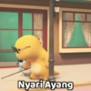 Nyari Ayang