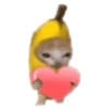 🐈GATO-s MEME-s🌐 12