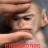 Monkeys 25