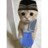 Kucing meme 19