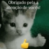 Obrigado pela a atenção de vocês!