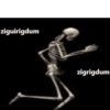 ziguirigdum zigrigdum