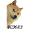Anomali Binatang 12
