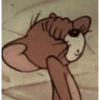 Memes Jerry  8
