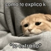 Gatos 🐱 Te extraño  13