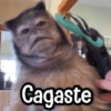 Changuitos Reacciones! 🐵🐒 14