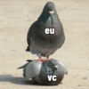 eu VC