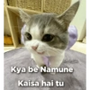 Cat love 3
