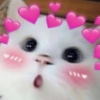 Máxima ternura 💕 11