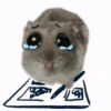 Cricetino Sad Hamster 6
