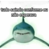 Coitadolândia 11