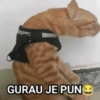 Meme bakekok cukurukuk 7