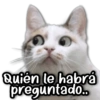 Quién le habrá preguntado..