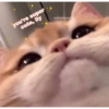 Sukritisbilliii 21